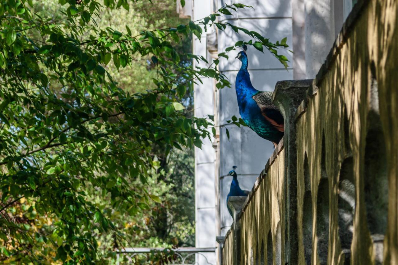 Casas Da Tapada Apartment Lisboa Ngoại thất bức ảnh